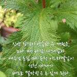 신천지와 신대연 어느쪽이 참인가?