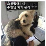마음으로 보는 <b>사진들</b>..60