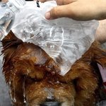  익스트림 다이나믹 스포츠! (블롭점프, 살레와락쇼, 호<b>버</b><b>보드</b>)