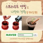식물이 자라나는 <b>연필</b> 본적 있나요?