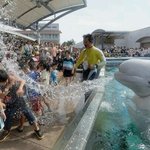 <b>승마</b>살파괴운동 해보신분 있을까요? <b>승마</b>살 ㅠㅠㅠㅠ