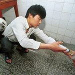 [EXO] 주사가 무서운 <b>팬더</b>