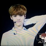 [EXO] 애들아 <b>사슴</b>이랑 아이컨택하러와