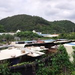 [합법입니까] <b>니코</b>를찾아헤메다 투견장을 발견했습니다 2