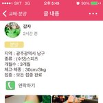 입양 글 퍼왔습니다.