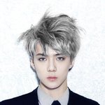 [EXO] 무.한도<b>전사</b>고난거