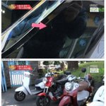 [추억파리여] 눈물나는 <b>제주</b> 스쿠터 여행