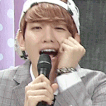 [EXO] 백현<b>빵</b>이라고 알아???