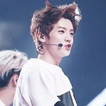 [루한] 이짜루고화질ㅈㅎㅁ 부탁해애애 
