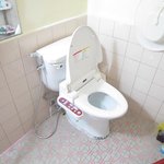 이런 <b>비데</b> 본적 있으세요?