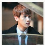 [EXO] 악개짓할라면 탈덕해 왜 백현이 욕하고지랄;;