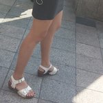 [틴펫스토리] 요즘여자들의 국민신발.jpg