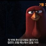 슈렉, 쿵푸팬더를 재미있게 봤다면 올 여름에는 <b>터키</b> 어때요?