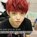 [EXO] 시발 이게 루하니 닮았다고??????