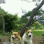 도와주세요