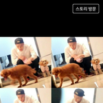 [EXO] 얘듀라 이거 세후니 언제임?