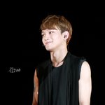 [CHEN] 종대오스트들리는대로.ㅌㅅㅌ