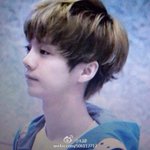 [루한] <b>허니</b>들, 도와줘 ㅠㅠㅠ!(답펑)