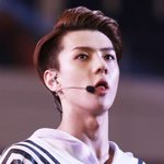 [EXO] 엑소애들 홈<b>마들이</b> 사진 다 보정함?? 