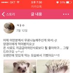 특별한 동물을 키워보고 싶네요~!