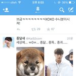 [카이] 니니랑 똑같이 생긴 강아지 큐ㅠㅠㅠㅜㅠㅠ