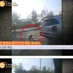 [공포베스트] <b>천안</b> 강아지 유기 사건