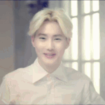 [EXO] 1일 1수글수글