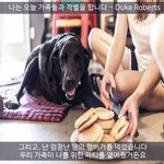 마음으로 보는 사진들..62