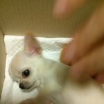 [율무] 어머나 세상에 !!!!!!!!!!!!!!!!!!