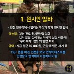 [<b>틴</b>펫스토리] 시급 10000원 꿀알바.jpg