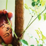 [회사생활] 흔한 회사의 애완<b>동물</b>