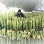 우리 농촌이 달라졌어요!!