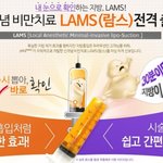 365mc 람스(LAMS)란 무엇인가?