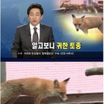 [추억파리여] <b>전설</b>이 되어버린 개장수 클라스