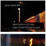 [추억파리여] 부산 가야동 고부 살인사건