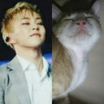 [시우민] 딱 'ㅅ' 이거 ! 그 <b>자체</b> 'ㅅ'  (+)