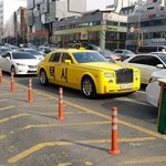 [틴펫스토리] 난 <b>택시</b>다.jpg
