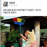 [틴펫스토리] 페이스북 쓰는 <b>진돗개</b>.jpg