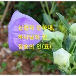 [신천지 인하대], 하나님의 인을 맞은 자와 <b>짐승</b>의 인(표)을 맞은...