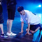 [EXO] 루모충들 양심이 없네