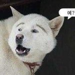 <b>학창</b>시절때 있을법한 표정