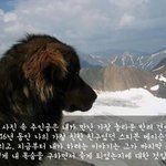 마음으로 보는 <b>사진들</b>..63