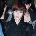 [EXO] 엑소 앓는 글