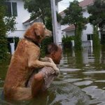 [추억파리여] <b>동물</b>을 도와주는 사람들