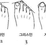 [틴펫스토리] 당신의 발은 어떤 <b>타입</b>입니까.jpg