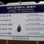 [틴펫스토리] 제주도에만 존재하는 신기한 날씨 알려주는 <b>돌멩이</b>.jpg