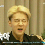 [EXO] 세훈이<b>이</b><b>표정</b>맘에드나봐