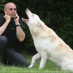 [EXO] 종대 <b>미모</b>감상하실게요~