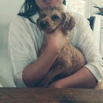 [댓글부탁] 경기도 이천에서 강아지 데려가<b>신분</b> 제발 돌려주세요