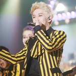 [블락비] 오늘<b>꿀벌</b>옷입은기념으로